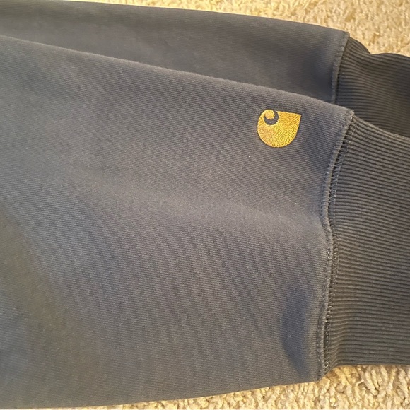 Carhartt Men’s Velvet Green Hooded Chase Sweatshirt, Size XL - Picture 2 of 8